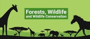 how to conserve forest and wildlife